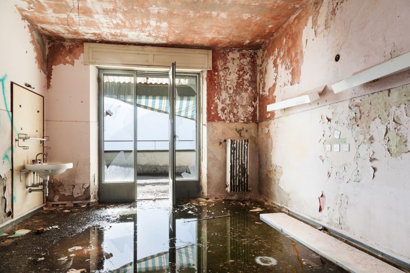 Water Damage Restoration project example
