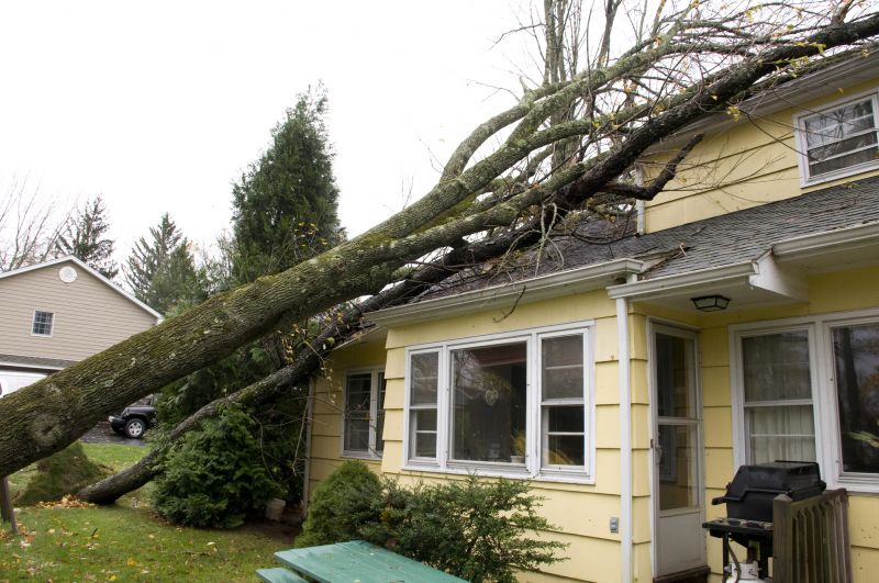 Storm Damage Restoration project example