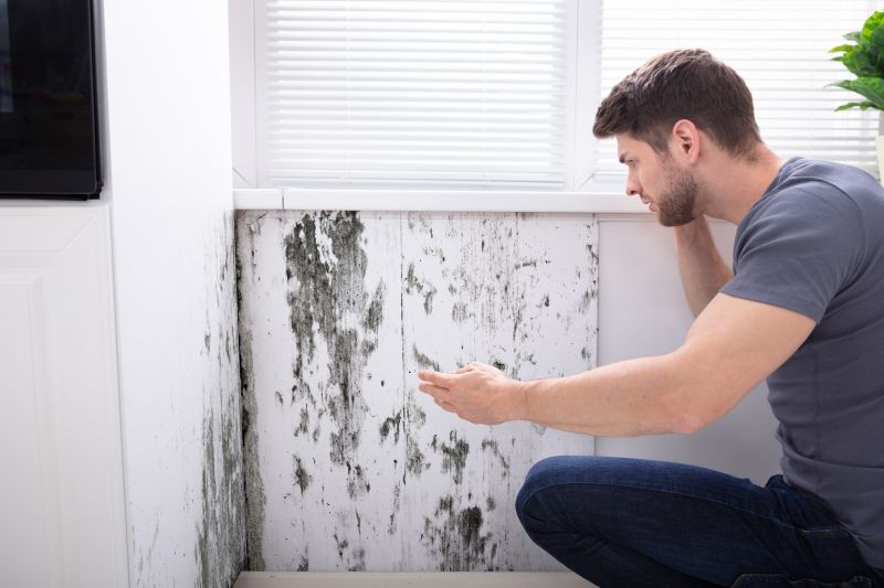 Mold Inspection and Removal